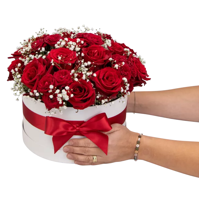 Box červených růží